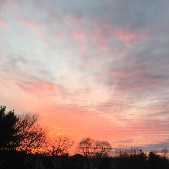 Meet your Posher, Lisa - Picture 5 of 8